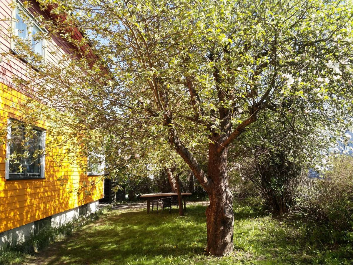 Renovated Semi- Basement 2 Bedrooms Furnished Apartment - Close To Everything In Moss Dış mekan fotoğraf